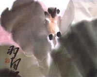 ������´��ڿ�ȫͼ���ͼ��Ctrl+�����ַŴ����С