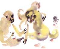 ������´��ڿ�ȫͼ���ͼ��Ctrl+�����ַŴ����С